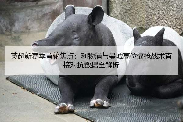 英超新赛季首轮焦点：利物浦与曼城高位逼抢战术直接对抗数据全解析