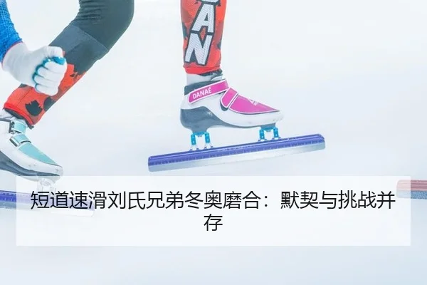 duan-dao-su-hua-liu-shi-xiong-di-dong-ao-mo-he-mo-qi-yu-tiao-zhan-bing-cun-2-321.jpg