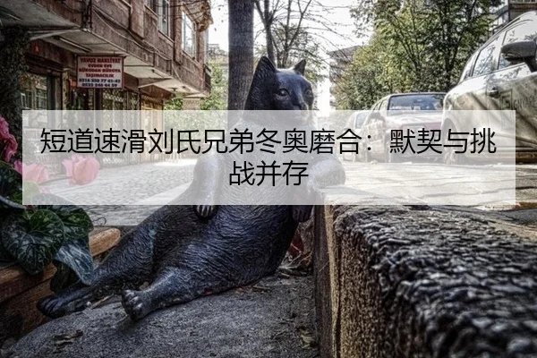 duan-dao-su-hua-liu-shi-xiong-di-dong-ao-mo-he-mo-qi-yu-tiao-zhan-bing-cun-3-505.jpg