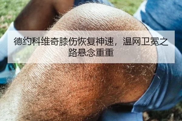 德约科维奇膝伤恢复神速，温网卫冕之路悬念重重