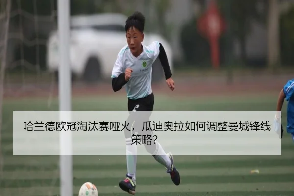 ha-lan-de-ou-guan-tao-tai-sai-ya-huo-gua-di-ao-la-ru-he-tiao-zheng-man-cheng-feng-xian-ce-lve-2-750.jpg