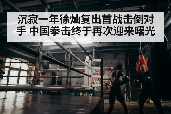 boxer training