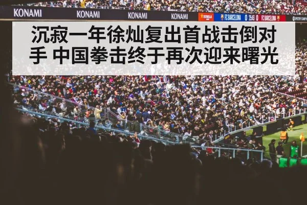 boxing fans crowd