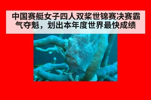 中国赛艇女子四人双桨世锦赛决赛霸气夺魁，划出本年度世界最快成绩